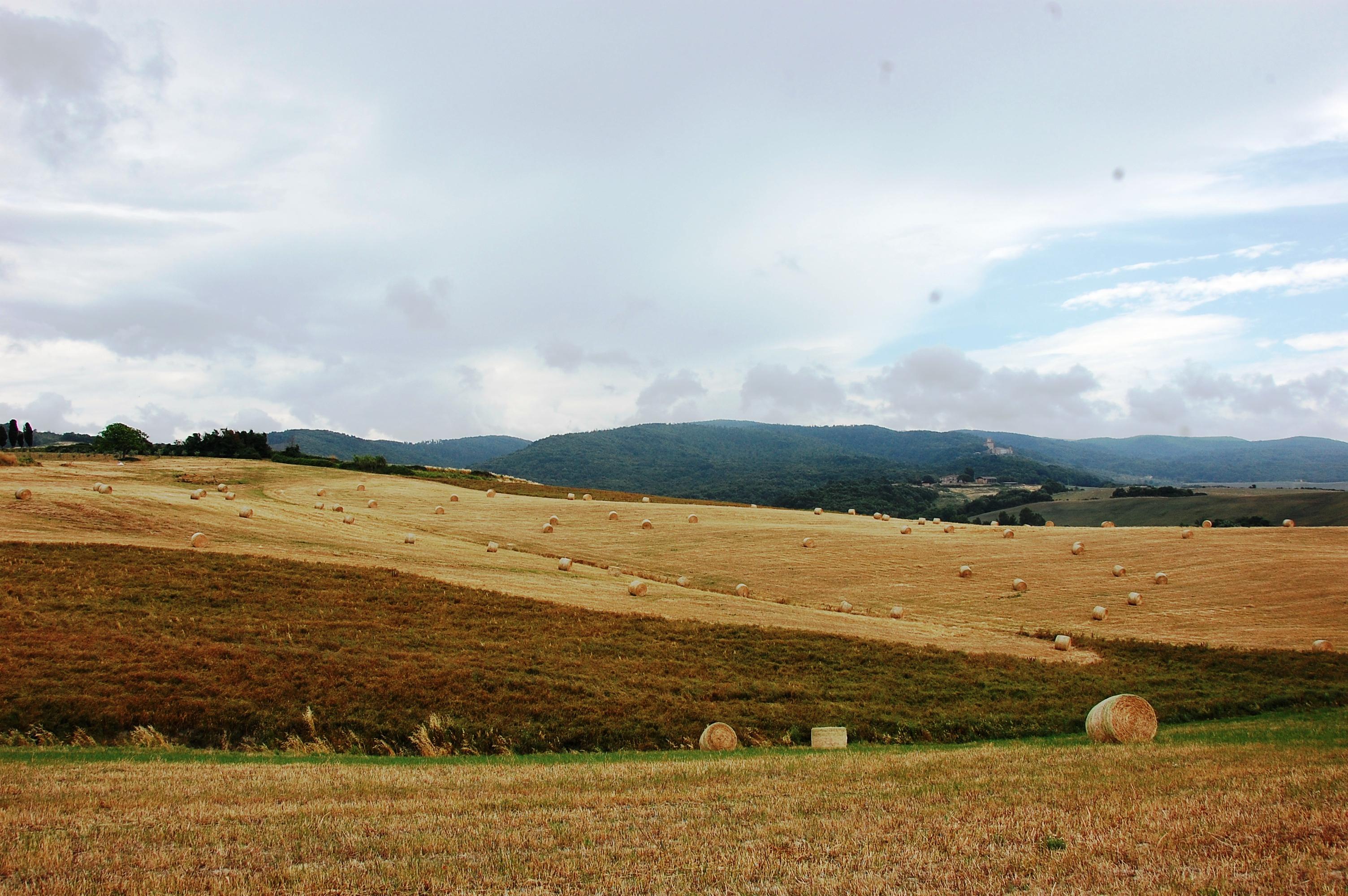 Toscanalandschaft